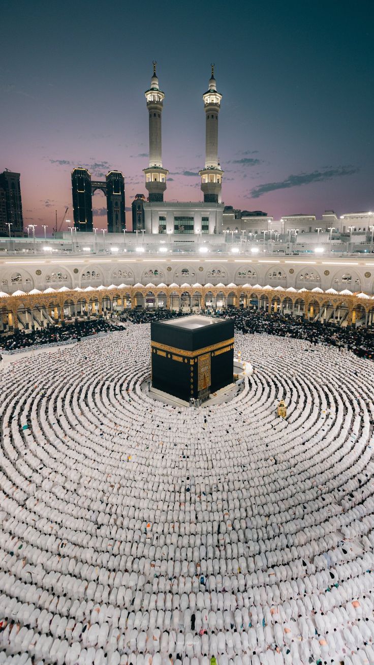 WhatsApp Image 2025-11-06 at 17.31.19