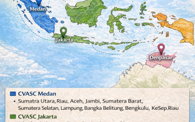 Update Visa China Februari 2026 untuk WNI: Sistem Zonasi Ketat, Bebas Visa Transit 240 Jam, dan Aturan Terbaru